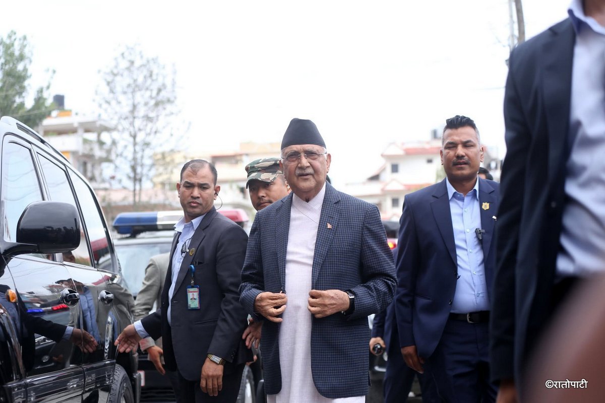 kp oli (2)
