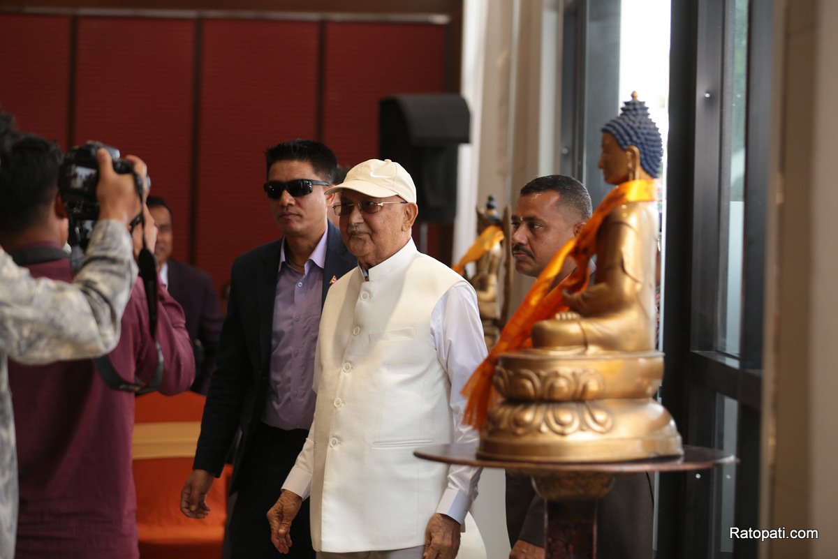 kp-oli (21)