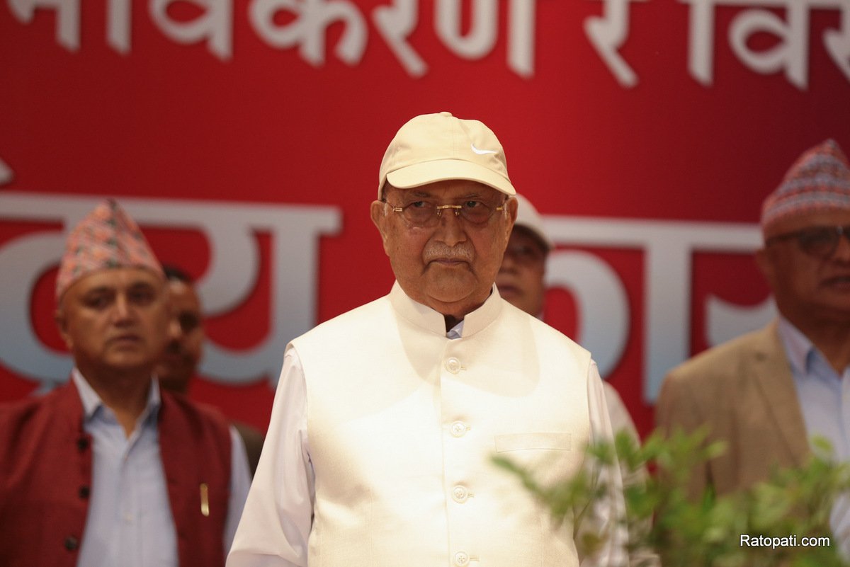 kp-oli (22)
