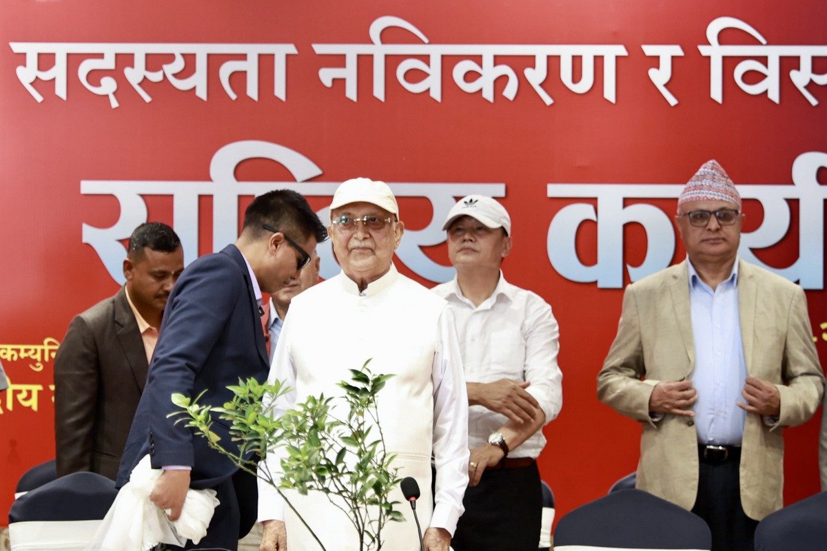 kp-oli (3)