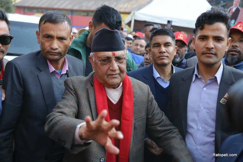 kp-oli (3)