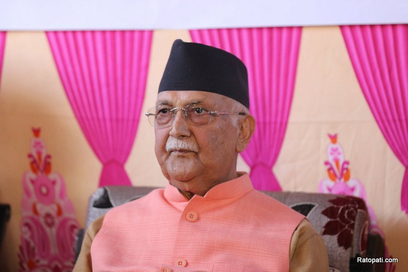 kp-oli (3)