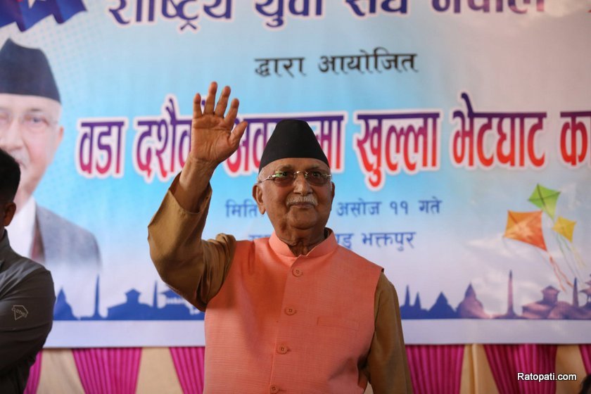 kp-oli (6)