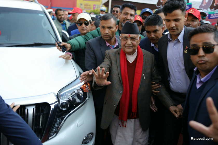 kp-oli (6)