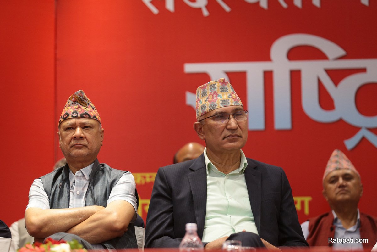 kp-oli (6)