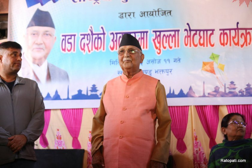kp-oli (7)