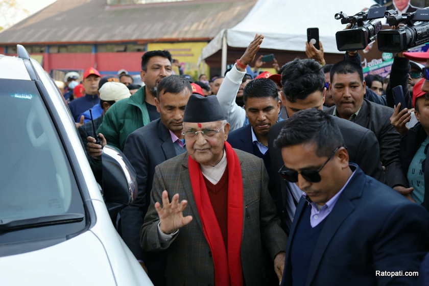 kp-oli (7)