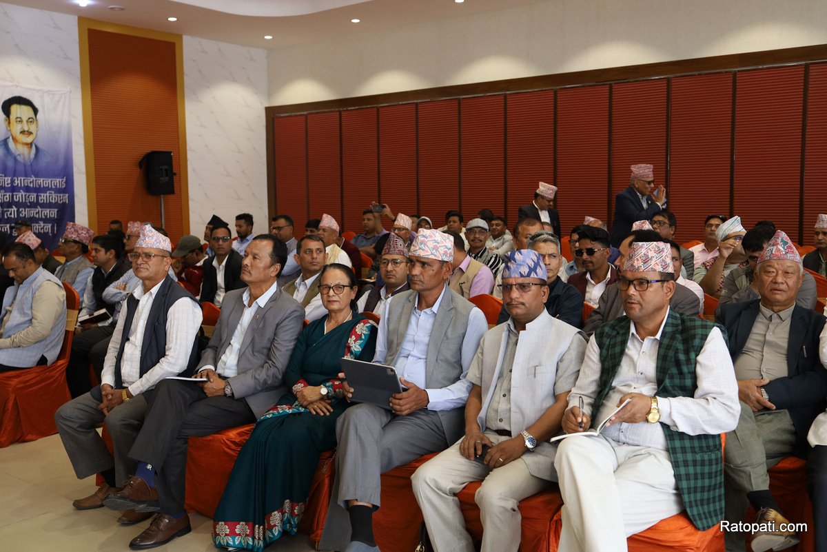 kp-oli (7)