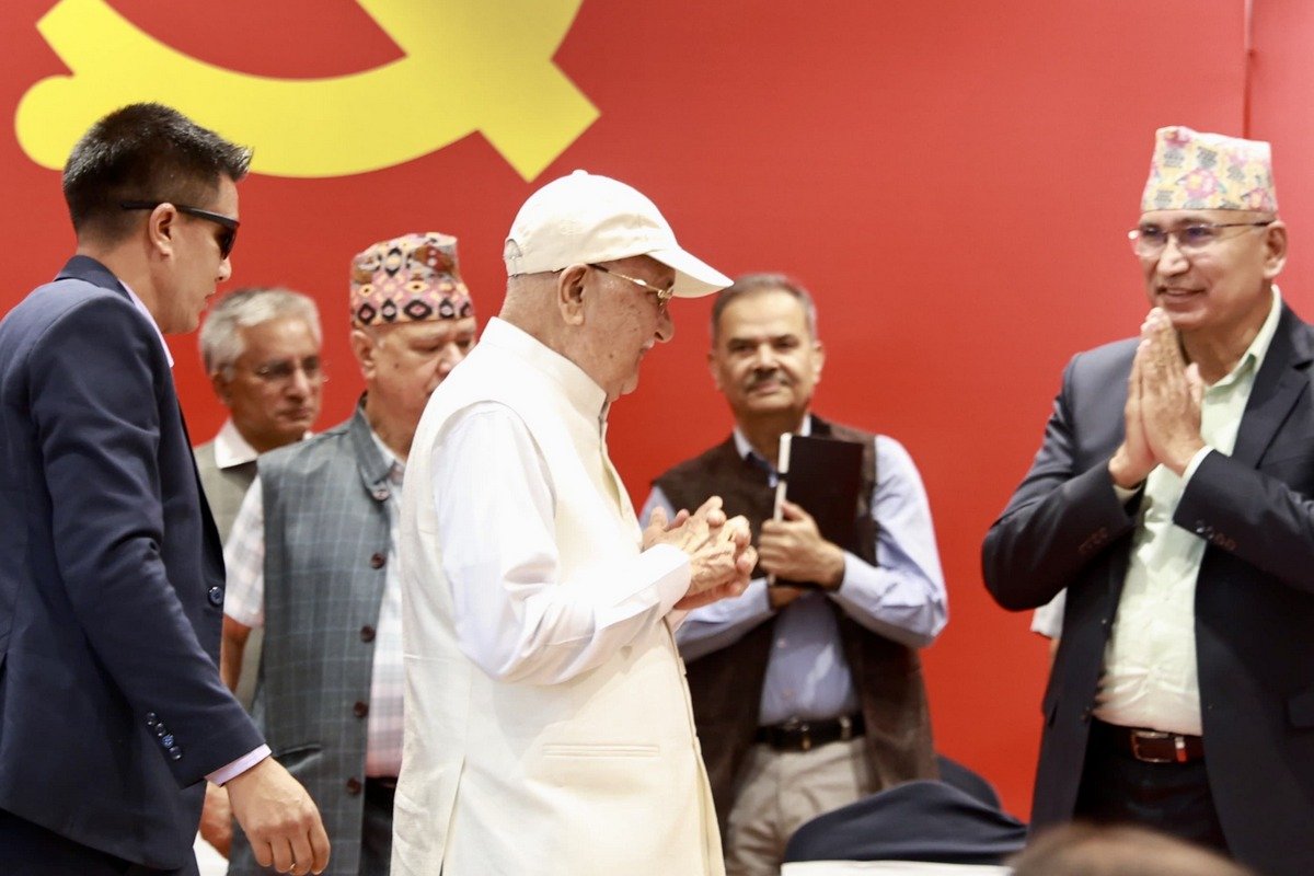 kp-oli (8)