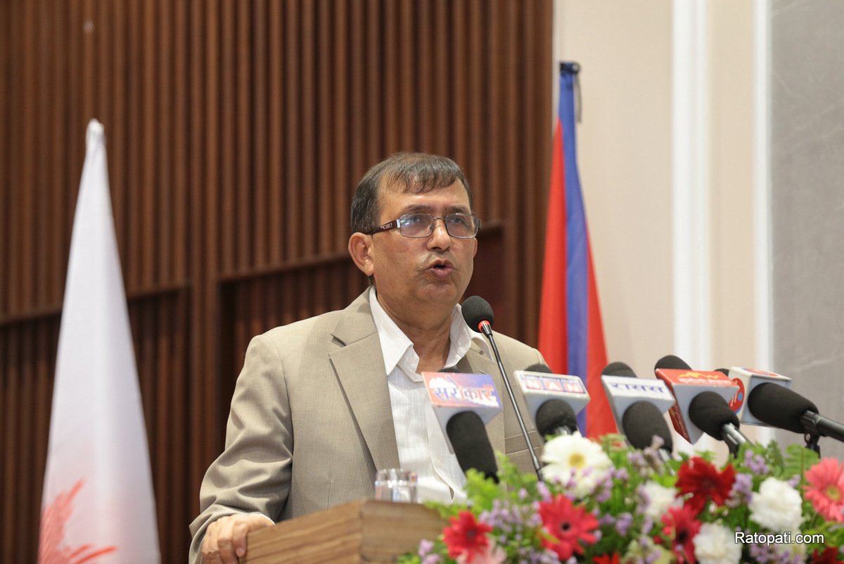 kp-oli (8)