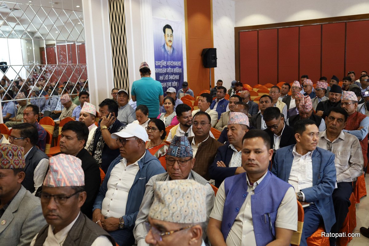 kp-oli (9)