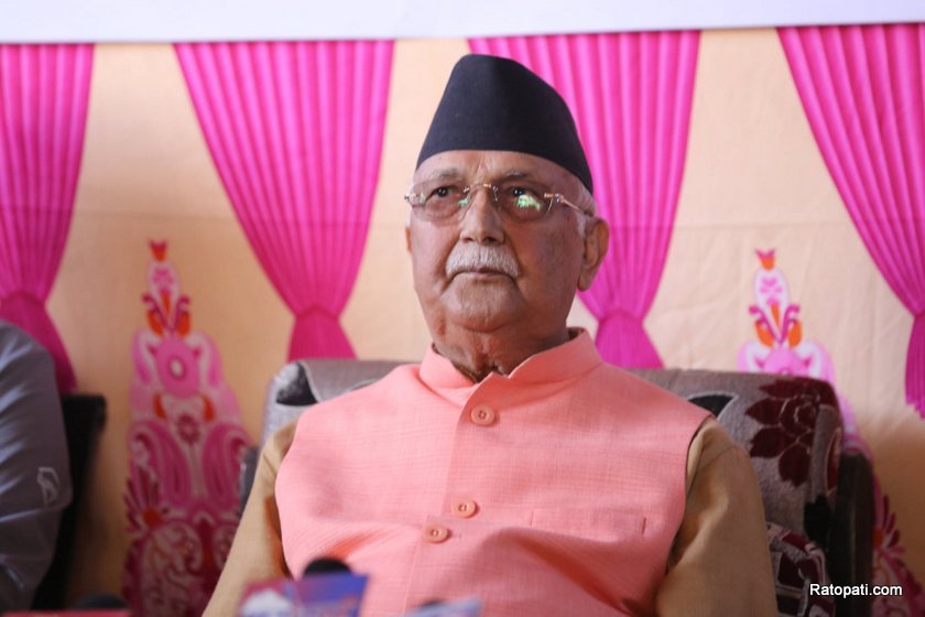 kp-oli (9)