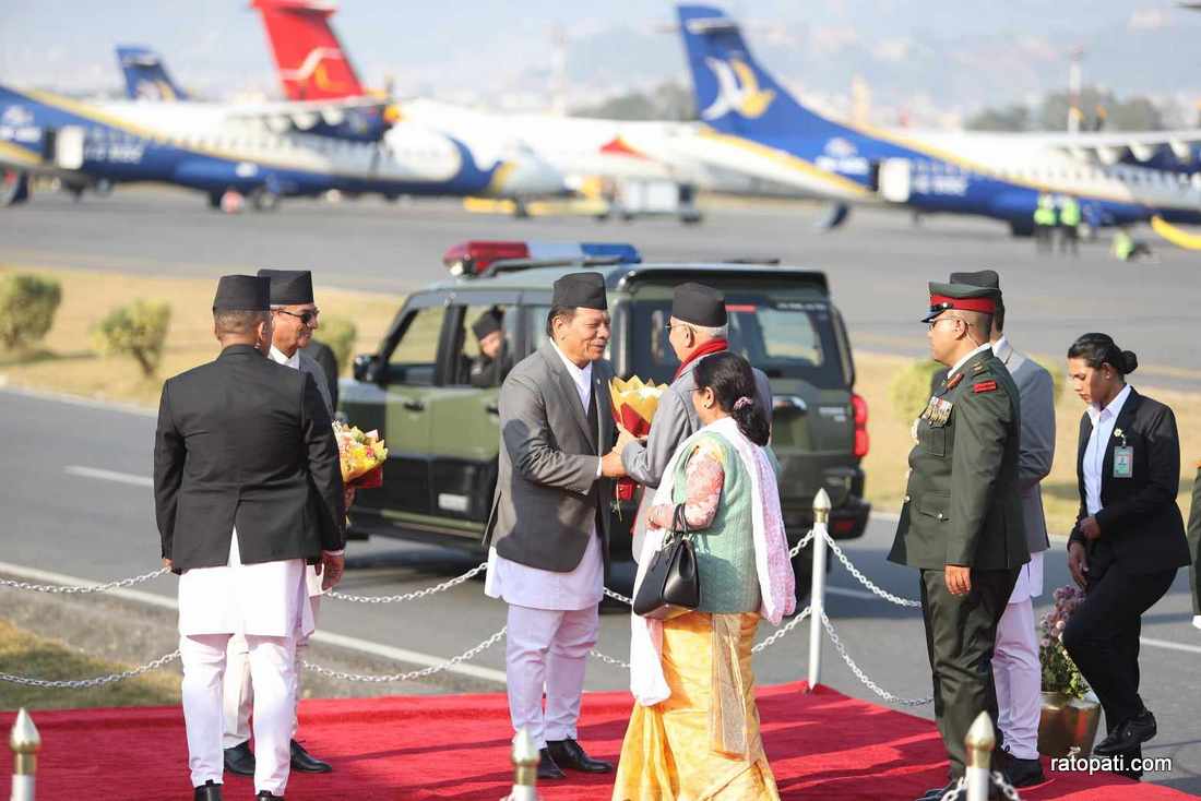 kp oli6