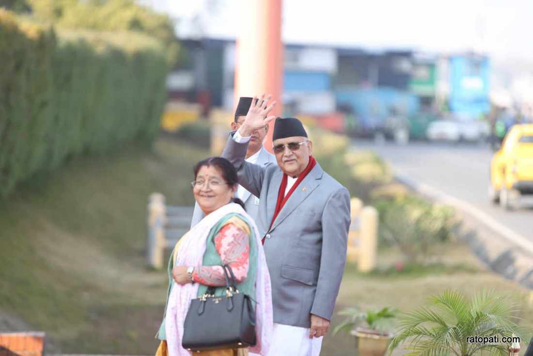 kp oli7