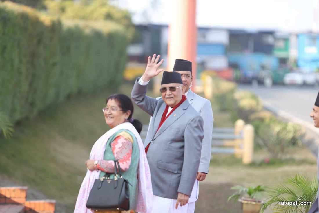 kp oli8