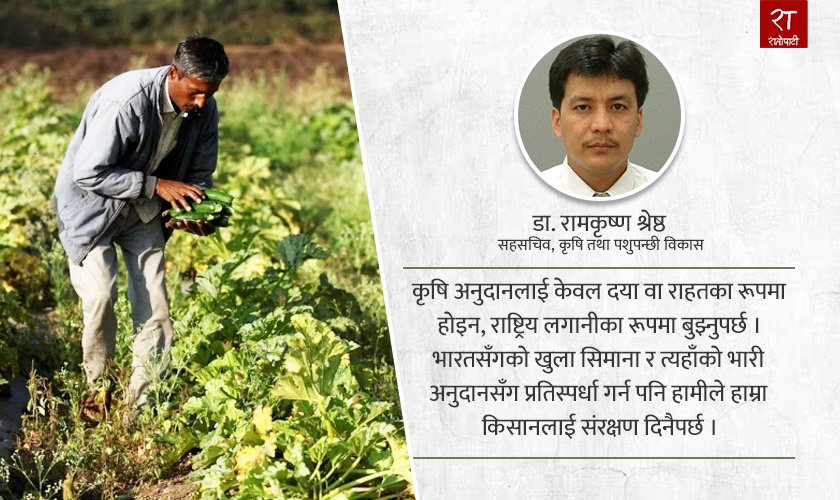 कृषि अनुदान : राहतमात्रै होइन, राष्ट्रिय रणनीतिक लगानी पनि हो