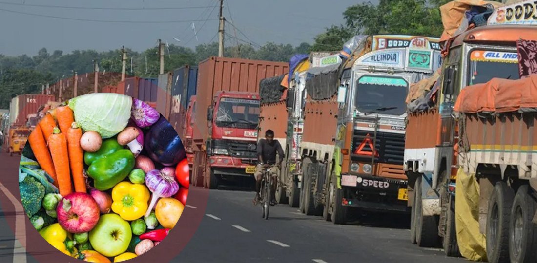 Nepal Implements Strict Entry Conditions for Imported Mangoes from China
