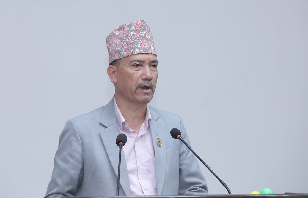 National Assembly Member Rokaya Points Out Weaknesses in Government Budget