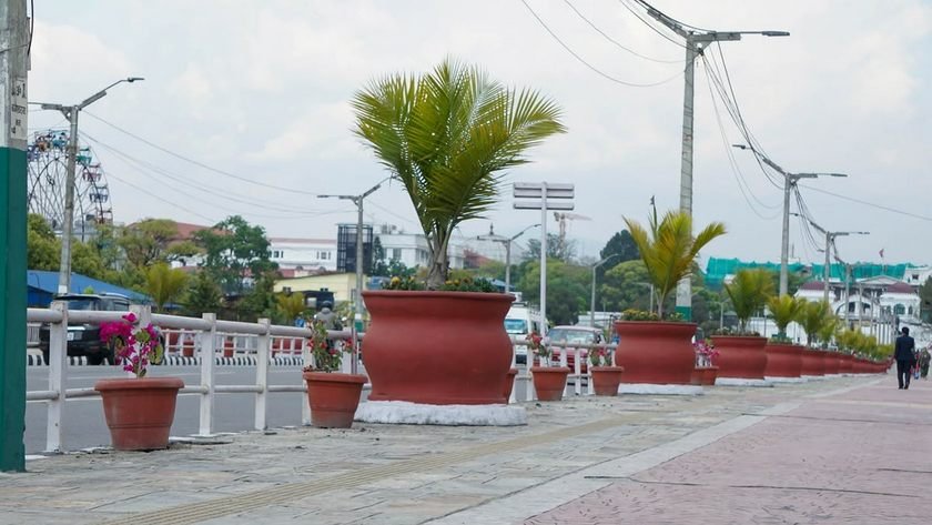 Kathmandu Metropolitan City Launches Urban Greening Initiative with Potted Flowers