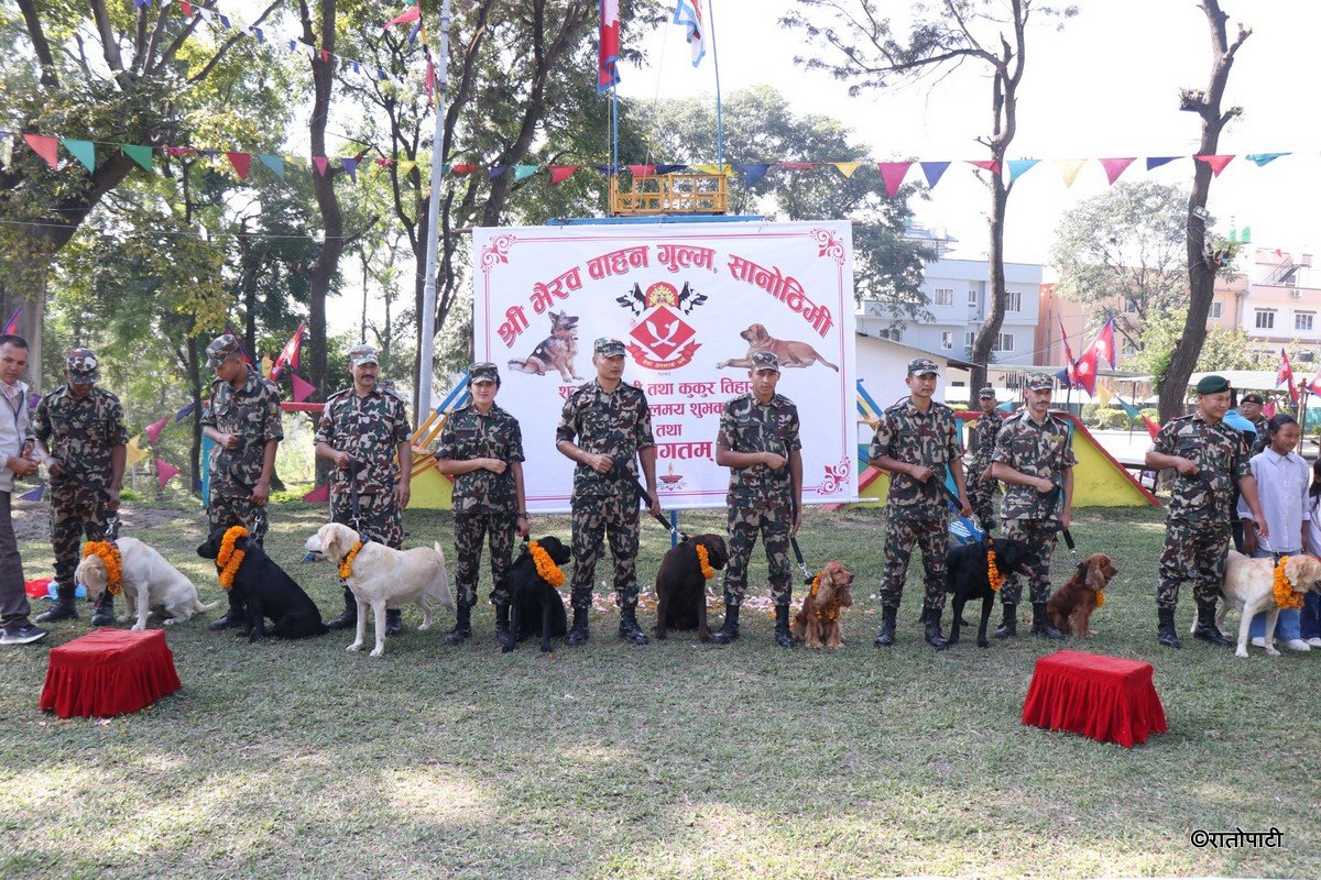 kukur tihar (1)