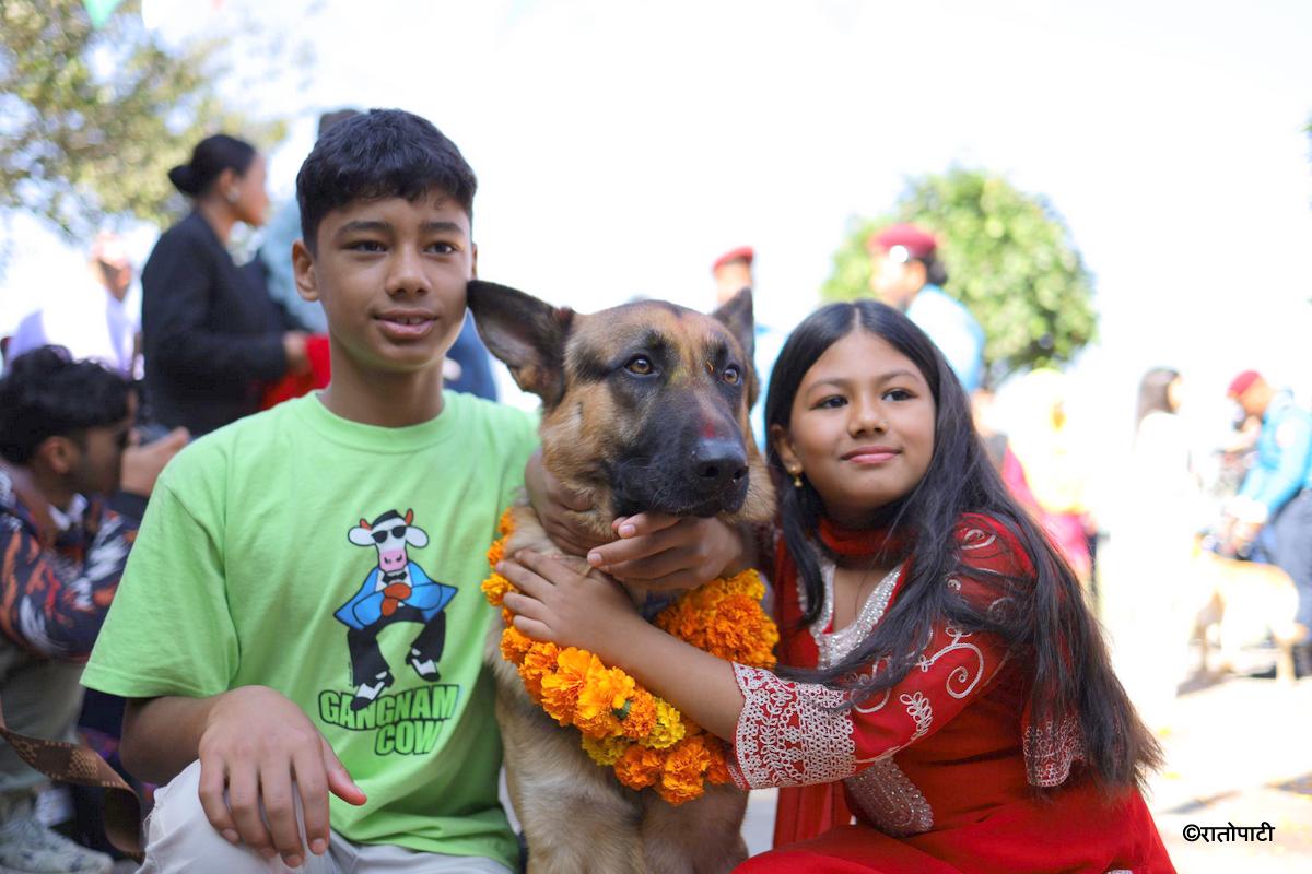 kukur tihar (15)