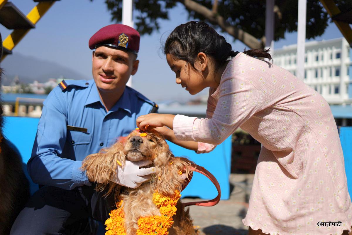 kukur tihar (17)