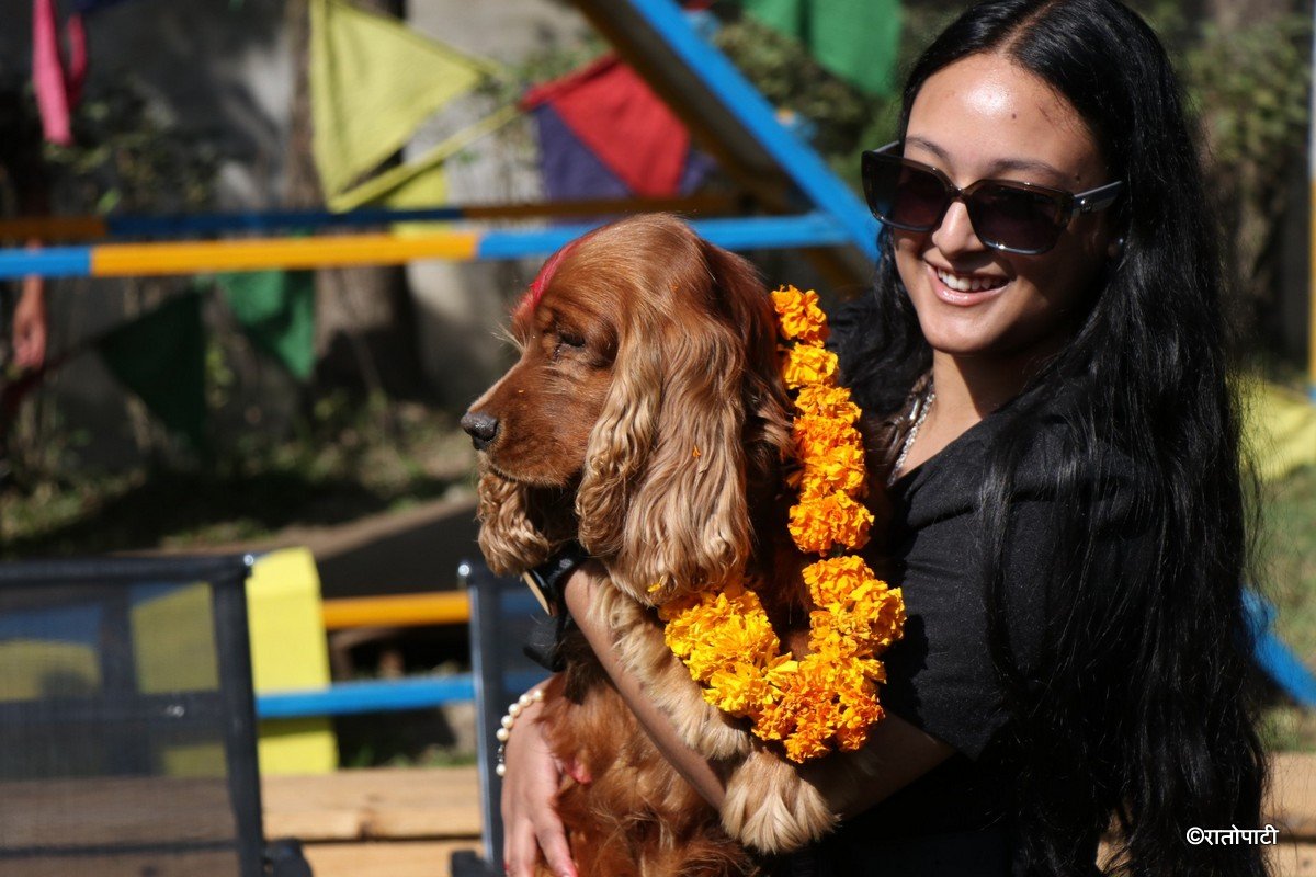 kukur tihar (17)