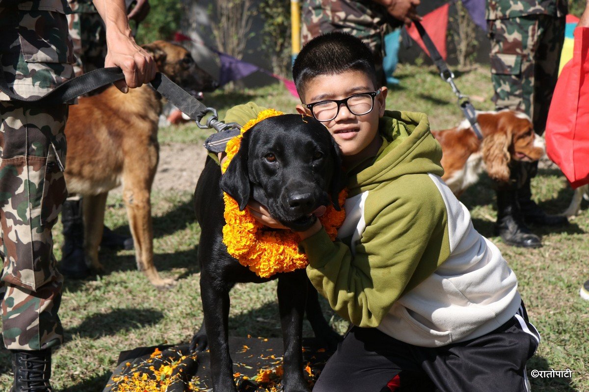 kukur tihar (18)