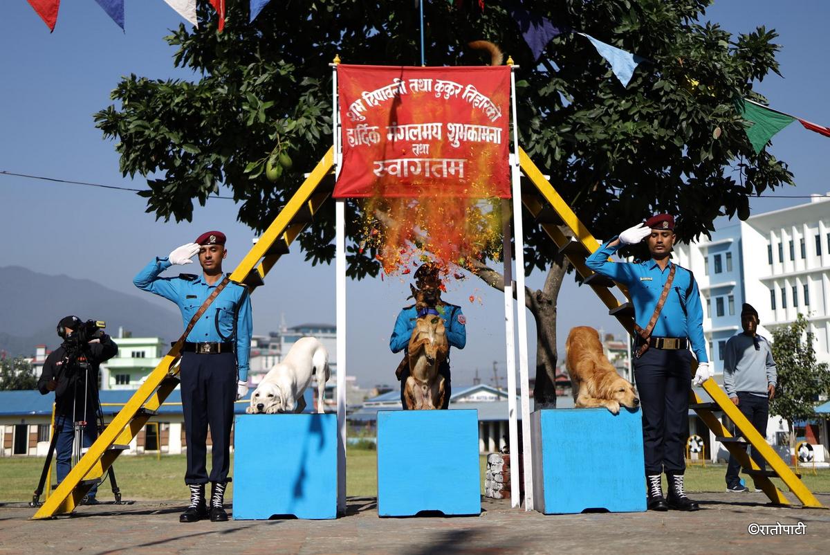 kukur tihar (2)