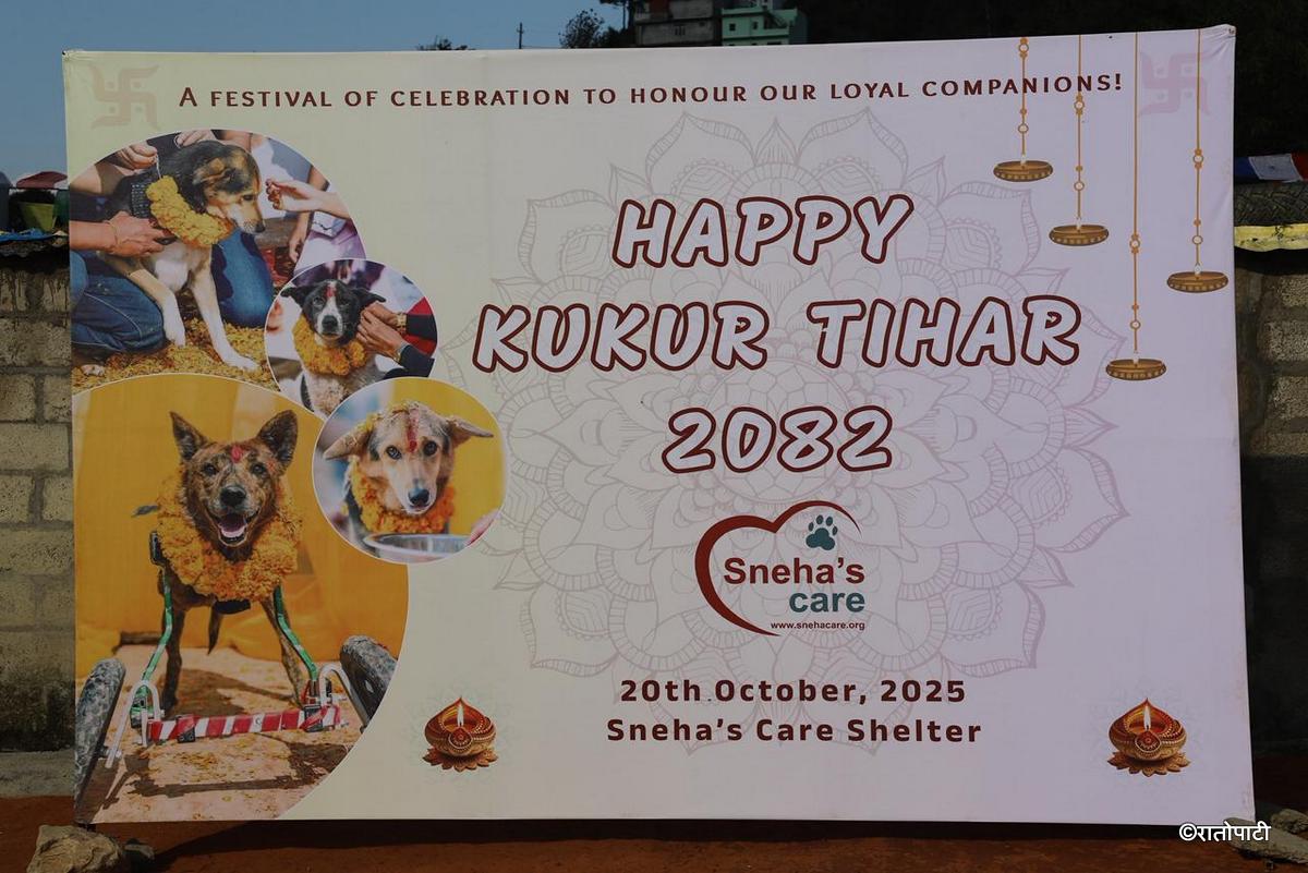 Kukur Tihar_NPL (18)