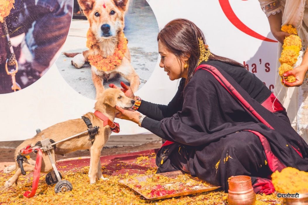 Kukur Tihar_NPL (6)