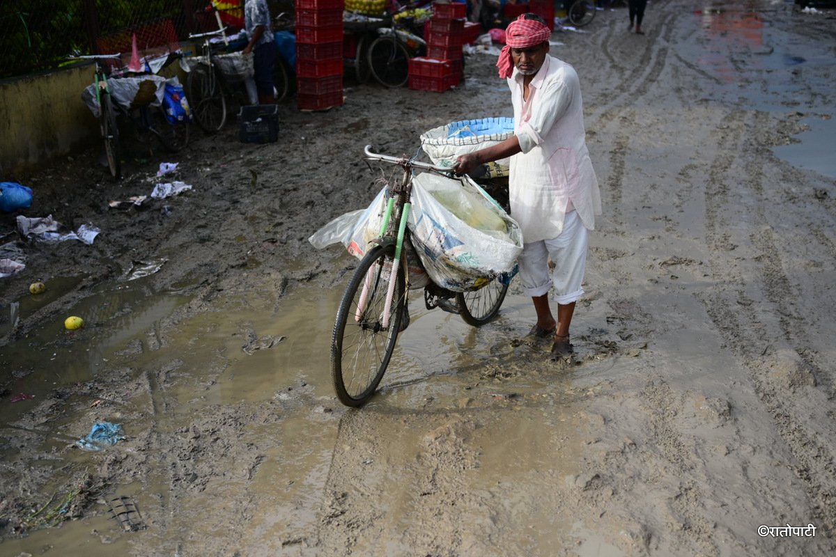 kuleshwor fruit market_-618 (9)