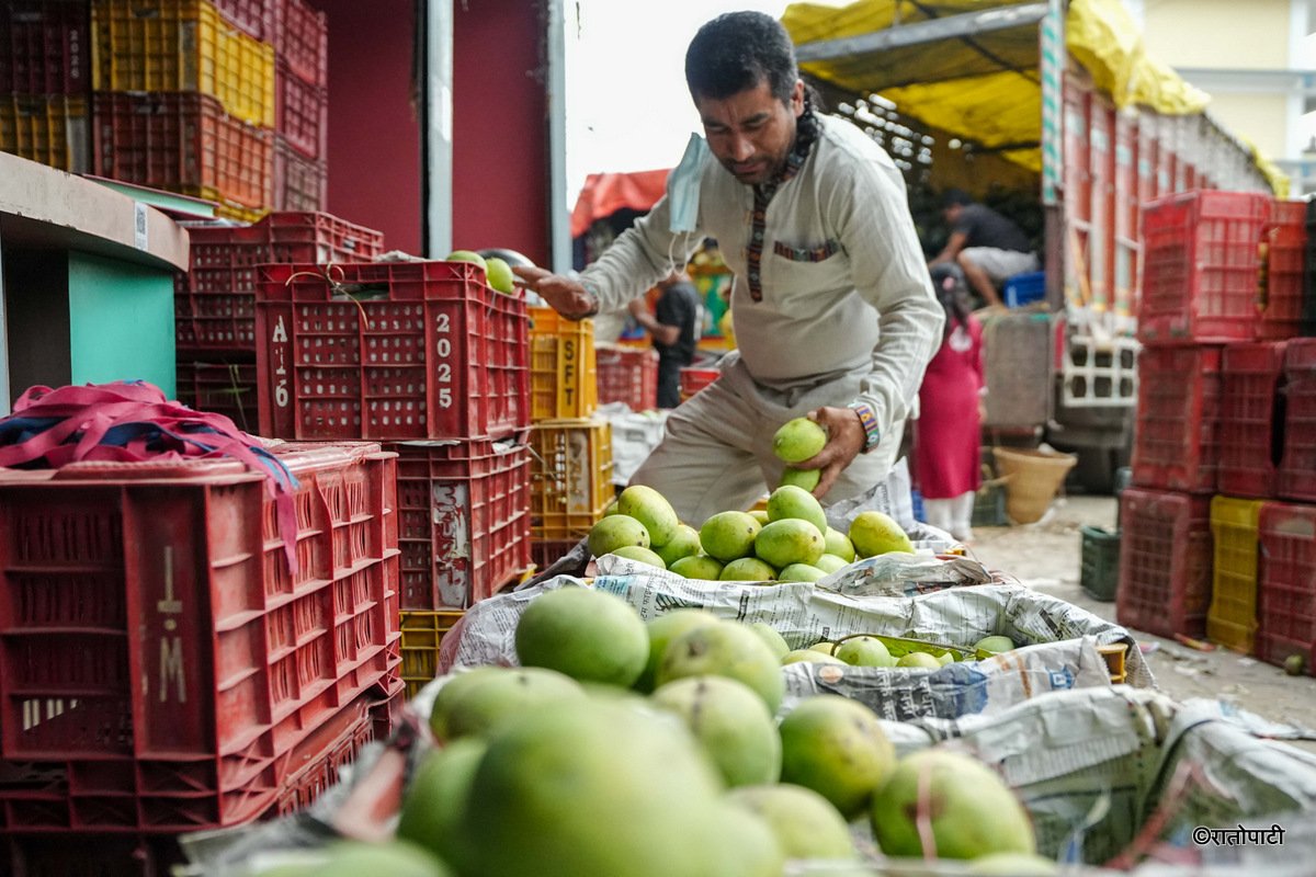 Kuleshwor Market_Mango (1)