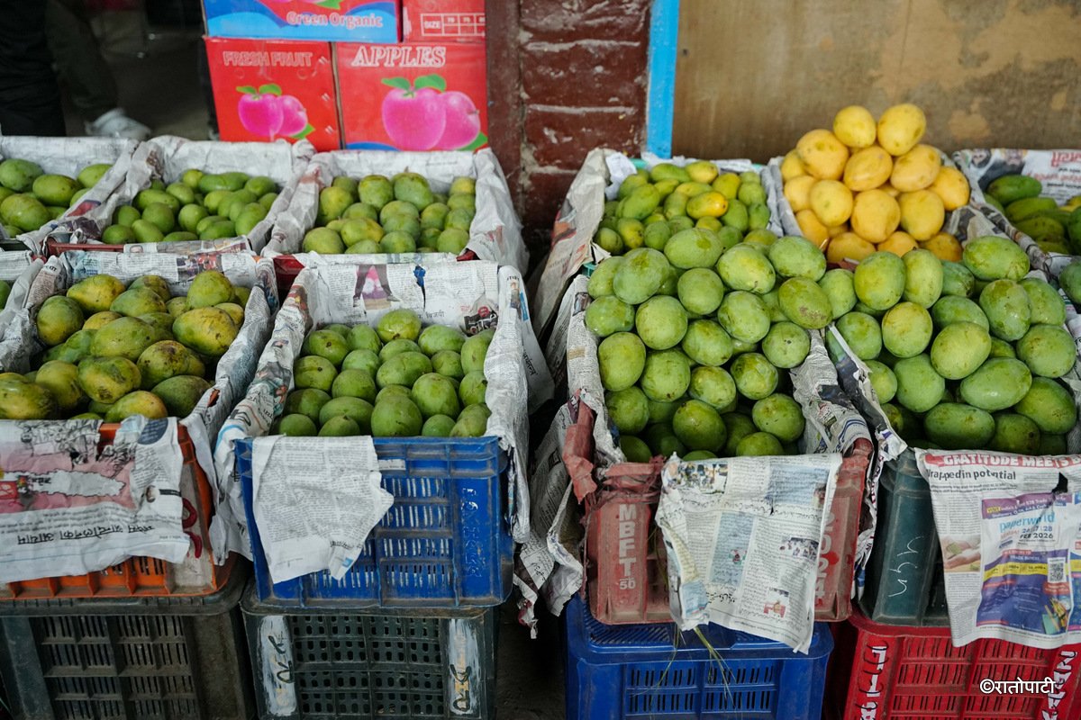 Kuleshwor Market_Mango (10)