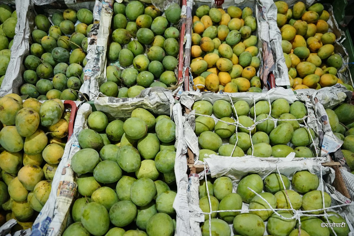Kuleshwor Market_Mango (11)