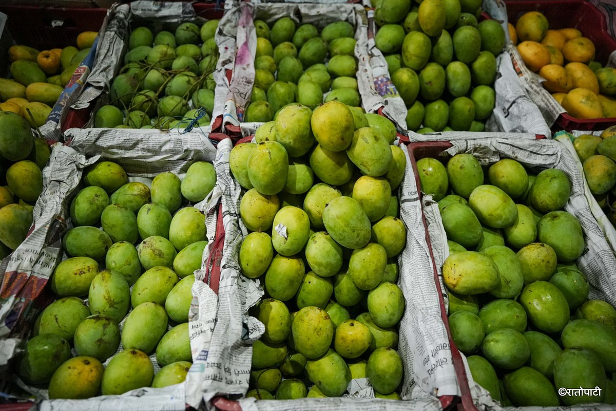 Kuleshwor Market_Mango (12)