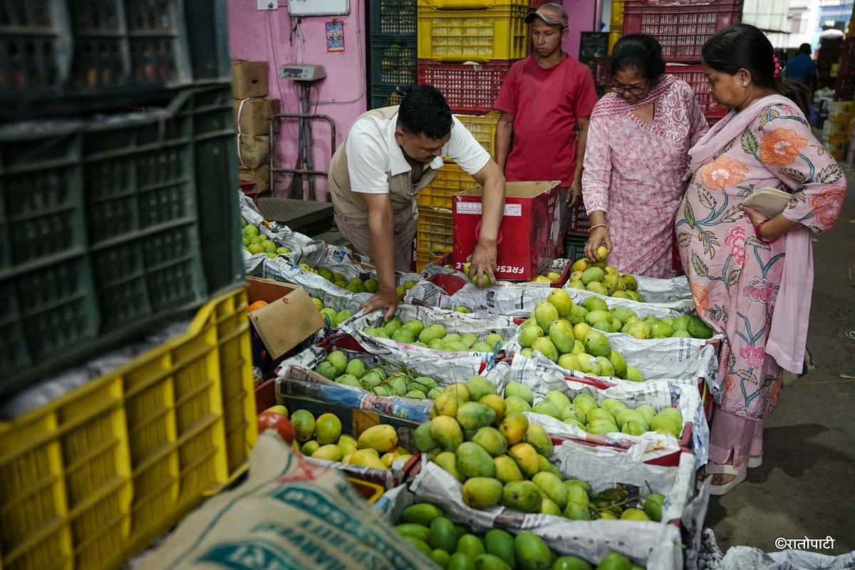 Kuleshwor Market_Mango (7)