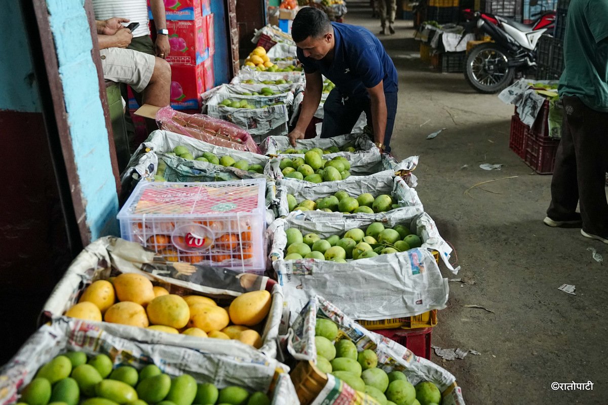 Kuleshwor Market_Mango (8)