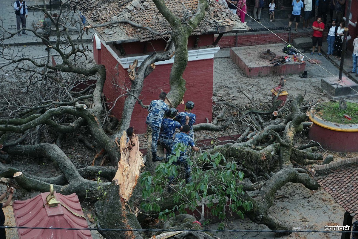 Kumbheshwor Mandir_-498