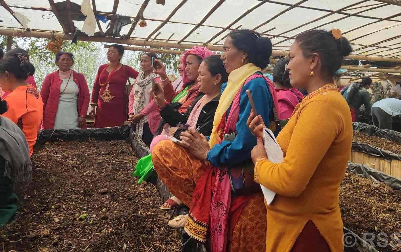   प्रोत्साहन कार्यक्रमले उद्यमशील बन्दै पौवादुङमा महिला