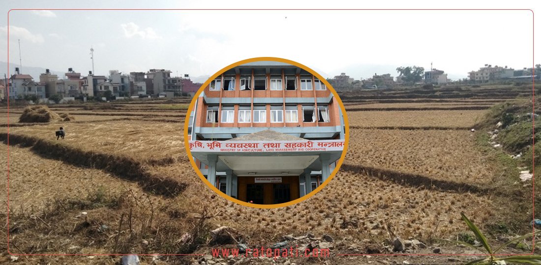   सरकारले सिफारिस गरेको भूमिसम्बन्धी अध्यादेशमा के छ ?