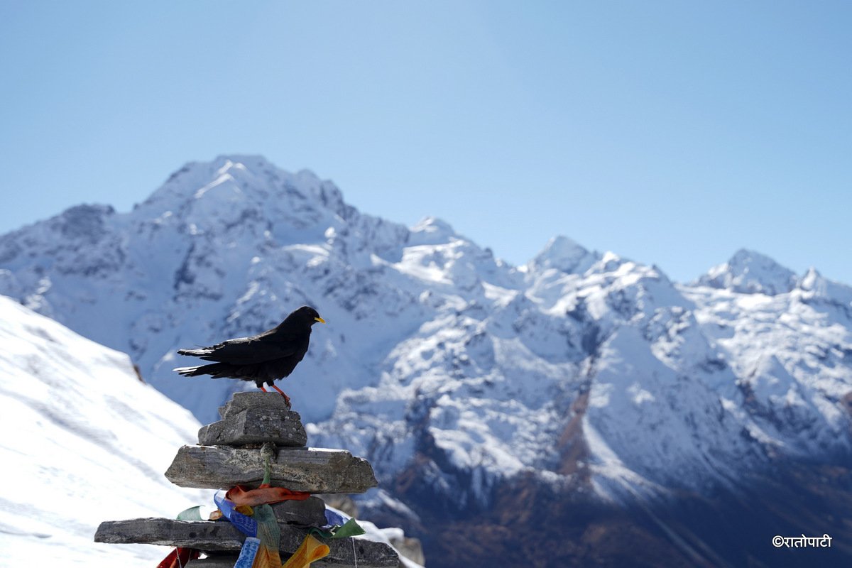 Langtang_Valley (2)