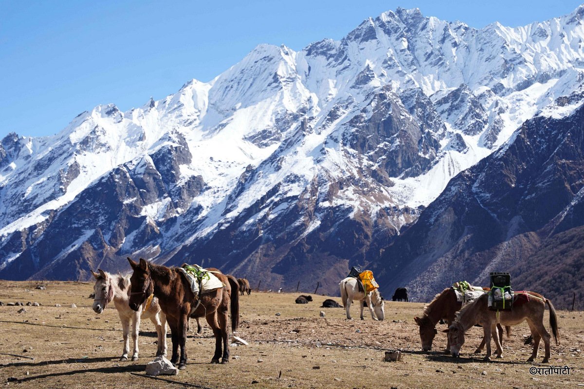 Langtang_Valley (9)