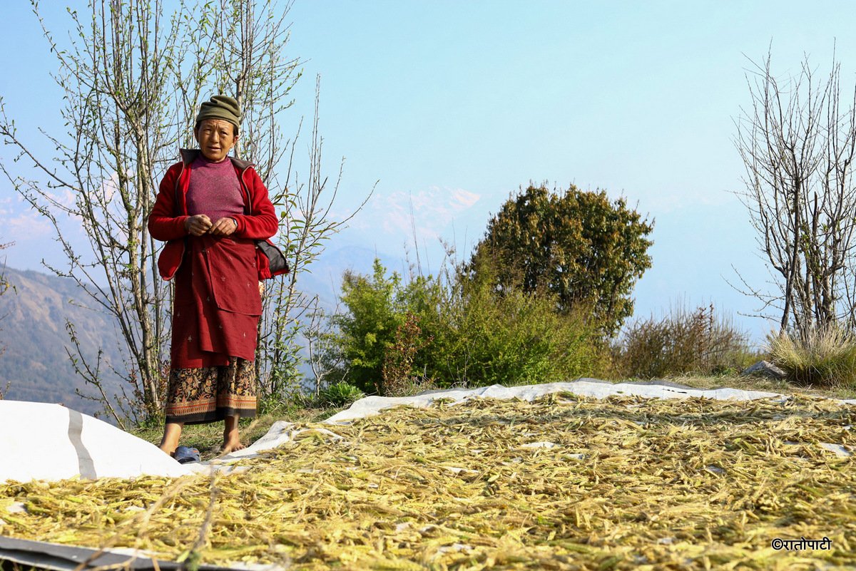 laprak village (11)