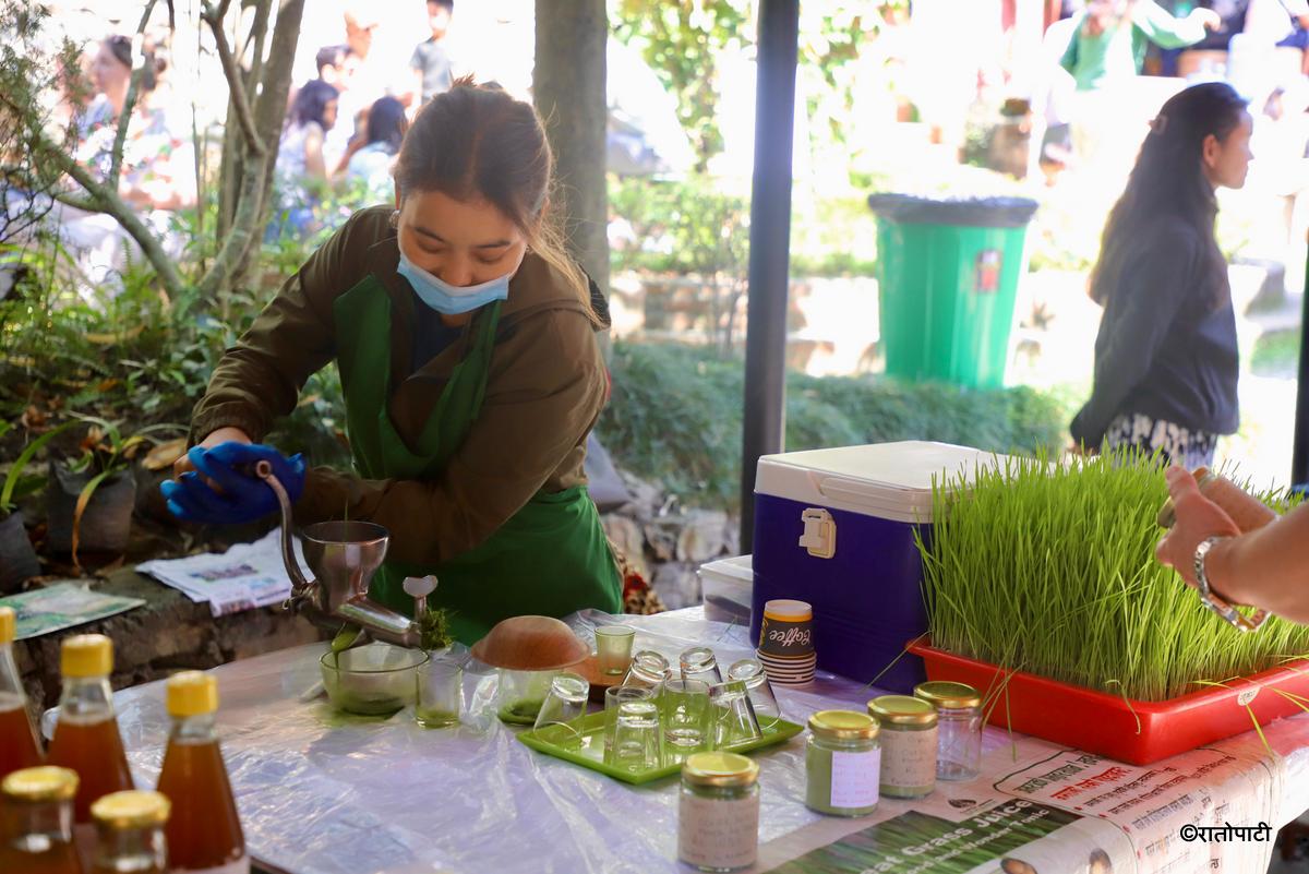 le sherpa market (7)