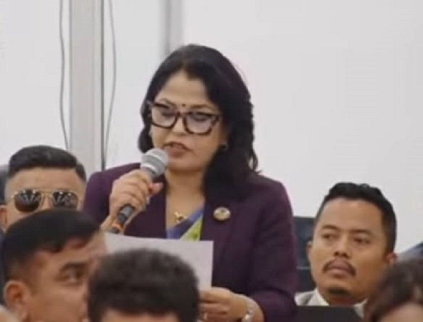 युरोपेली संघको हवाई सुरक्षा सूचीबाट नेपाललाई हटाउन सांसद अधिकारीको माग