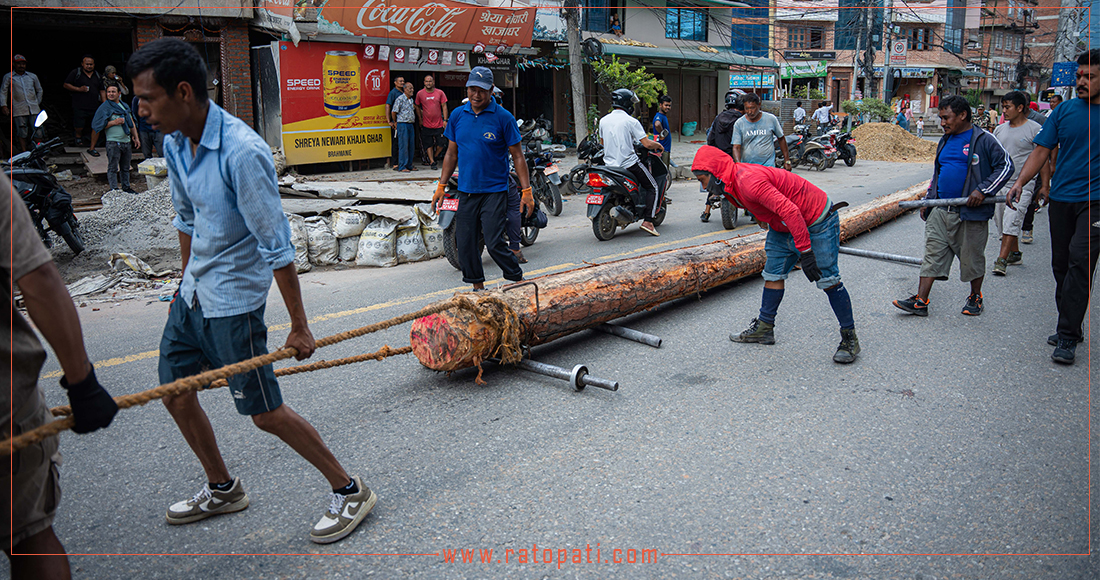   काठमाडौँ ल्याइयो इन्द्रजात्राका लागि लिङ्गो, तस्बिरहरू