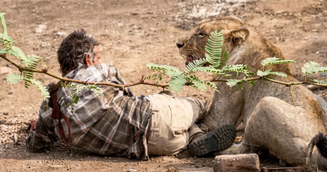 Lion Attacks Farmer in Gujarat's Bhavnagar District