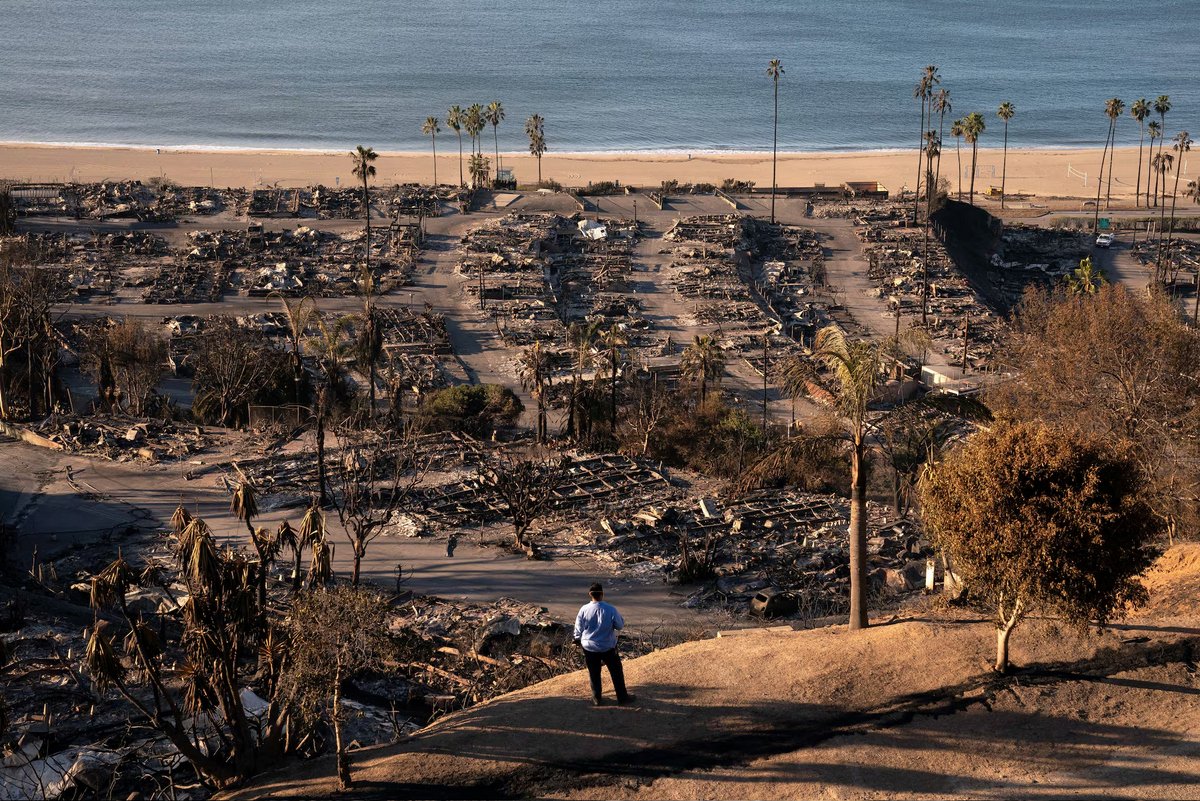 los angles fire (6)