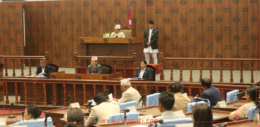 Lumbini Provincial Assembly Members Raise Urgent Public Concerns